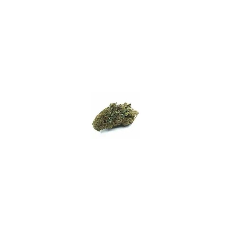 FLEUR DE CBD Amnesia Haze- Taux de cbd 3,24%