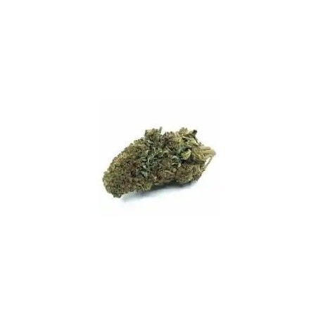 FLEUR DE CBD Amnesia Haze- Taux de cbd 3,24%