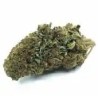 FLEUR DE CBD Amnesia Haze- Taux de cbd 3,24%