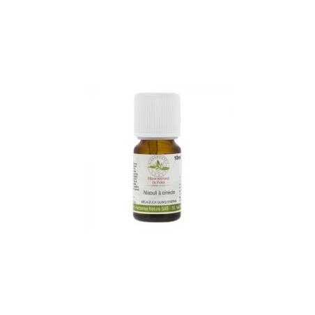 Huile essentielle niaouli à cinéole BIO 10ML - Herboristerie de Paris