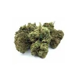 FLEUR DE CBD Amnesia Haze- Taux de cbd 3,24%