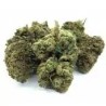 FLEUR DE CBD Amnesia Haze- Taux de cbd 3,24%