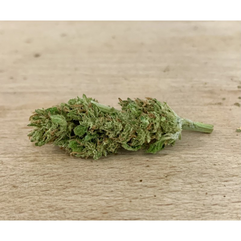 FLEUR DE CBD B52 - Taux de cbd 15%