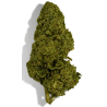 FLEUR DE CBD B52 - Taux de cbd 15%