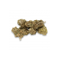 Fleur de CBG Premium - Taux de cbg 10,36%