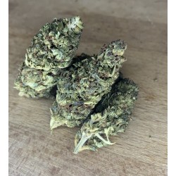 AMNESIA PUNCH - CBD PUISSANT