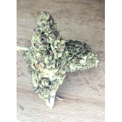 AMNESIA PUNCH - CBD PUISSANT