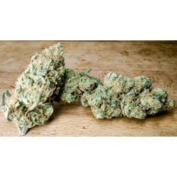 Fleur de CBD "PISTACHIO" - 14% de CBD