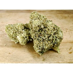 Fleur de CBD Gorilla - TAUX...